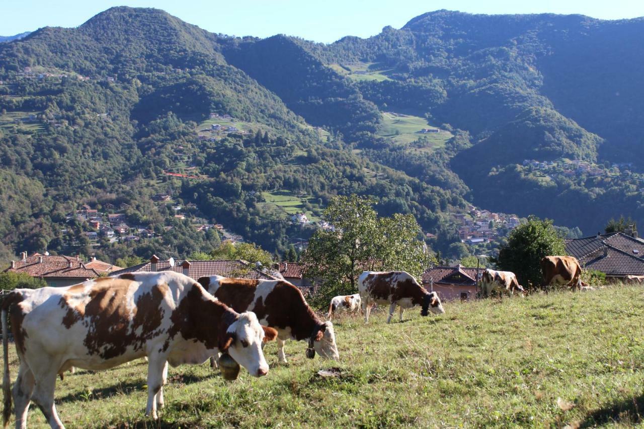 A Ca Reste Capizzone Buitenkant foto